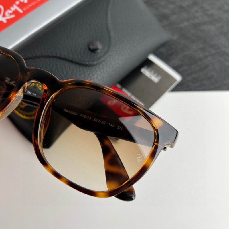 Rayban Glasses (342)